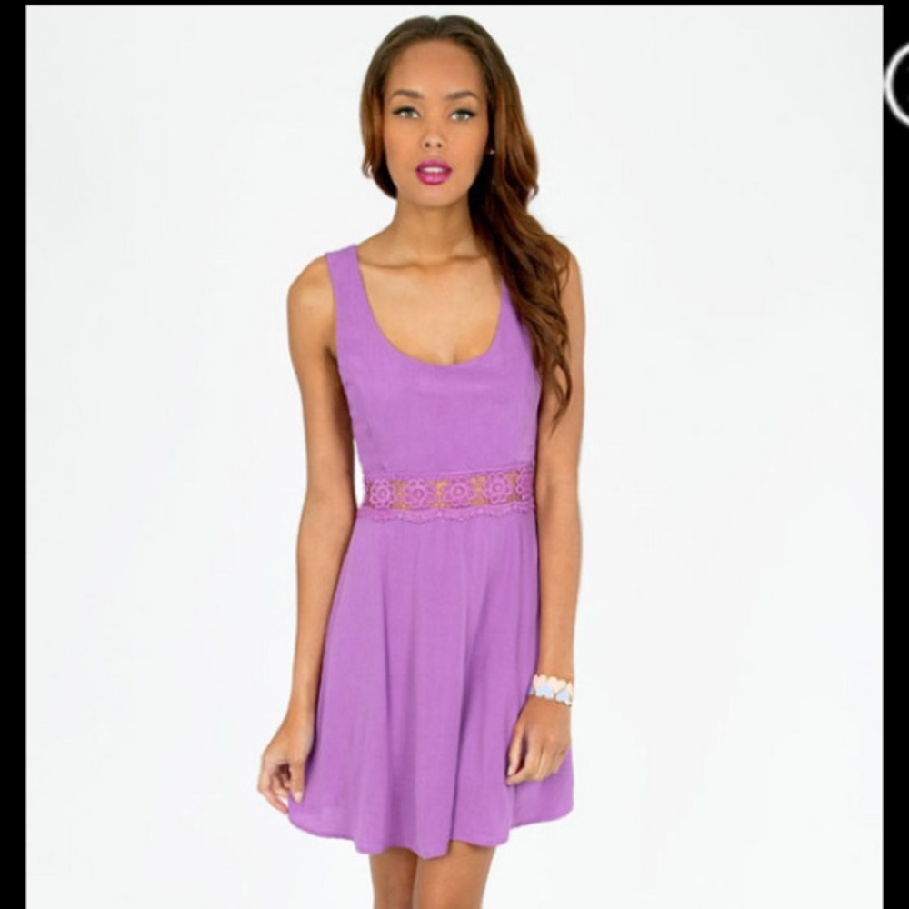 Purple Daisy Crochet Skater Dress